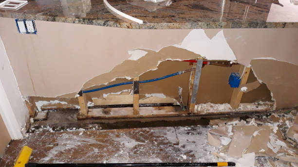 Best Water damage restoration near me  in Goshen, IN